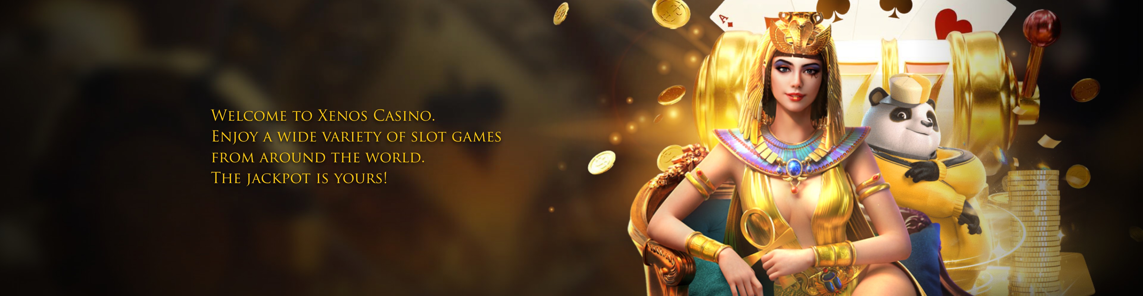 Winner banner 2